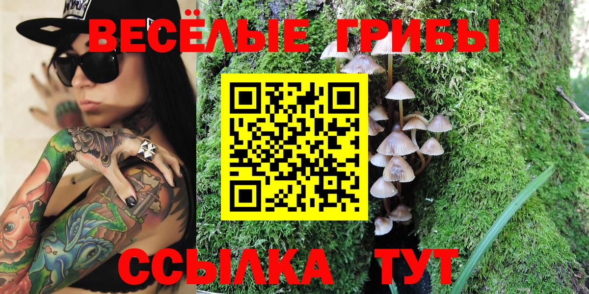 Оренбург  Галлюциногенные грибы Magic Shrooms  Вход с VPN 