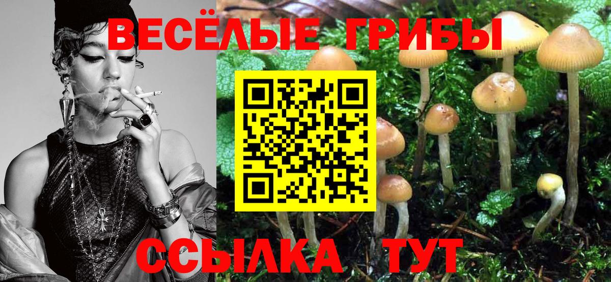 Псилоцибиновые грибы Magic Shrooms Оренбург
