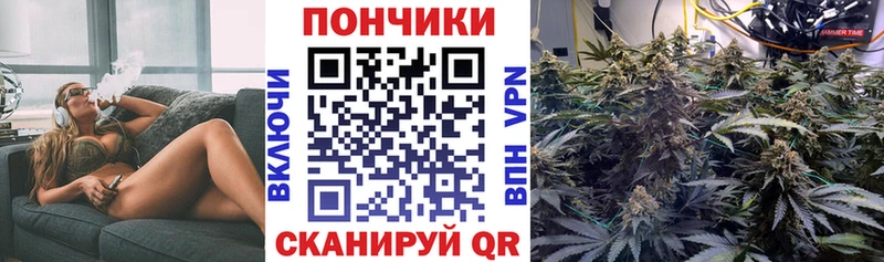 Купить  Оренбург  Бошки марихуана AK-47 